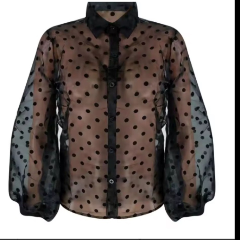 Black Sheer Button-Up Blouse
